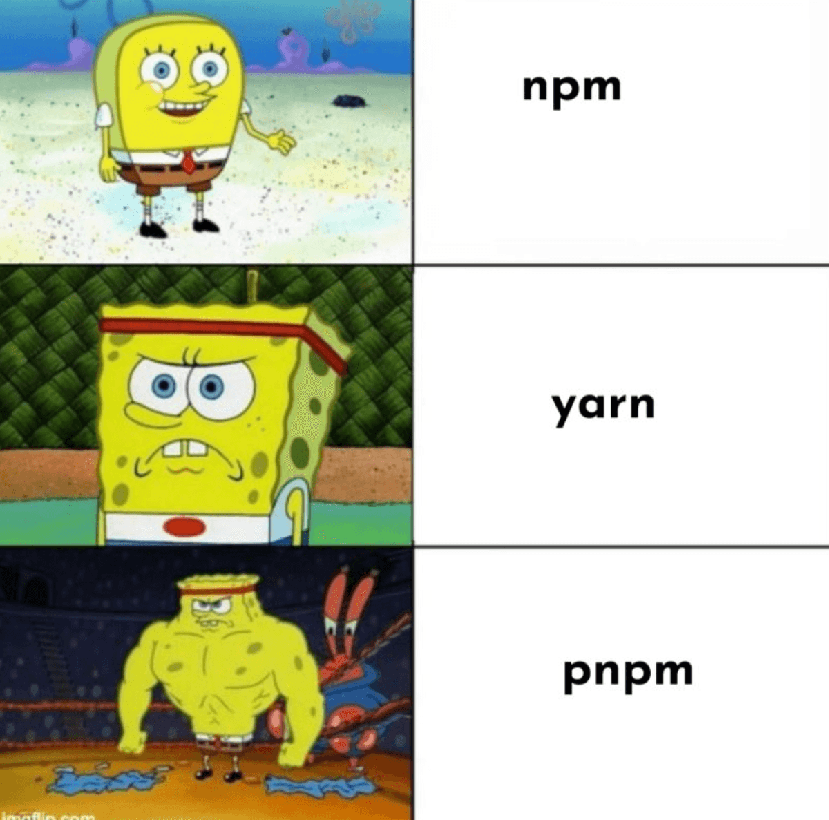 pnpm-meme